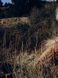 Filename=00123.jpg
Filesize=2195KiB
Dimensions=2048x1365
Date added=Aug 28, 2025 00123.jpg