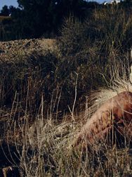 Filename=00124.jpg
Filesize=2169KiB
Dimensions=2048x1365
Date added=Aug 28, 2025 00124.jpg