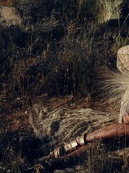 Filename=00135.jpg
Filesize=2460KiB
Dimensions=2048x1365
Date added=Aug 28, 2025 00135.jpg