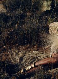 Filename=00136.jpg
Filesize=2385KiB
Dimensions=2048x1365
Date added=Aug 28, 2025 00136.jpg