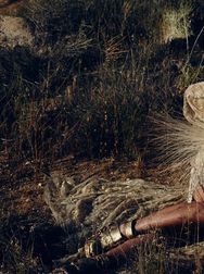 Filename=00137.jpg
Filesize=2459KiB
Dimensions=2048x1365
Date added=Aug 28, 2025 00137.jpg