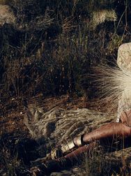 Filename=00140.jpg
Filesize=2468KiB
Dimensions=2048x1365
Date added=Aug 28, 2025 00140.jpg