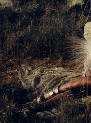 Filename=00141.jpg
Filesize=2332KiB
Dimensions=2048x1365
Date added=Aug 28, 2025 00141.jpg