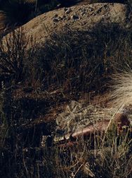 Filename=00144.jpg
Filesize=2361KiB
Dimensions=2048x1365
Date added=Aug 28, 2025 00144.jpg