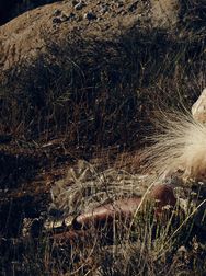 Filename=00145.jpg
Filesize=2338KiB
Dimensions=2048x1365
Date added=Aug 28, 2025 00145.jpg