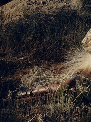 Filename=00146.jpg
Filesize=2422KiB
Dimensions=2048x1365
Date added=Aug 28, 2025 00146.jpg