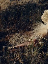 Filename=00147.jpg
Filesize=2187KiB
Dimensions=2048x1365
Date added=Aug 28, 2025 00147.jpg