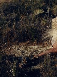 Filename=00156.jpg
Filesize=2479KiB
Dimensions=2048x1365
Date added=Aug 28, 2025 00156.jpg